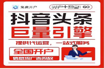成功企业SEM竞价代运营案例研究